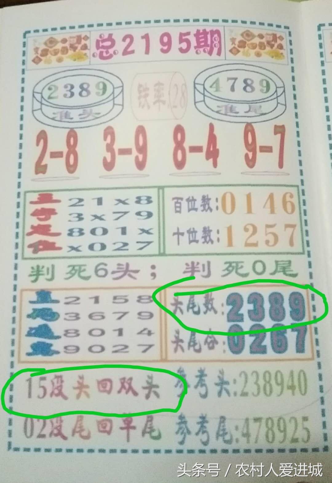 澳门期期准免费精准；精准解答，精选解析解释落实
