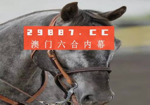 澳门最准一肖一码一码孑；精准解答，精选解析解释落实
