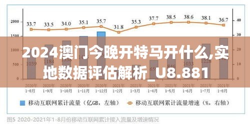 新澳门2025年正版码表；精准解答，实用释义解释落实