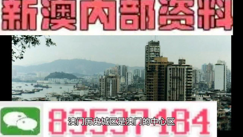 新澳门全年免费的资料；精准解答，全面释义解释落实