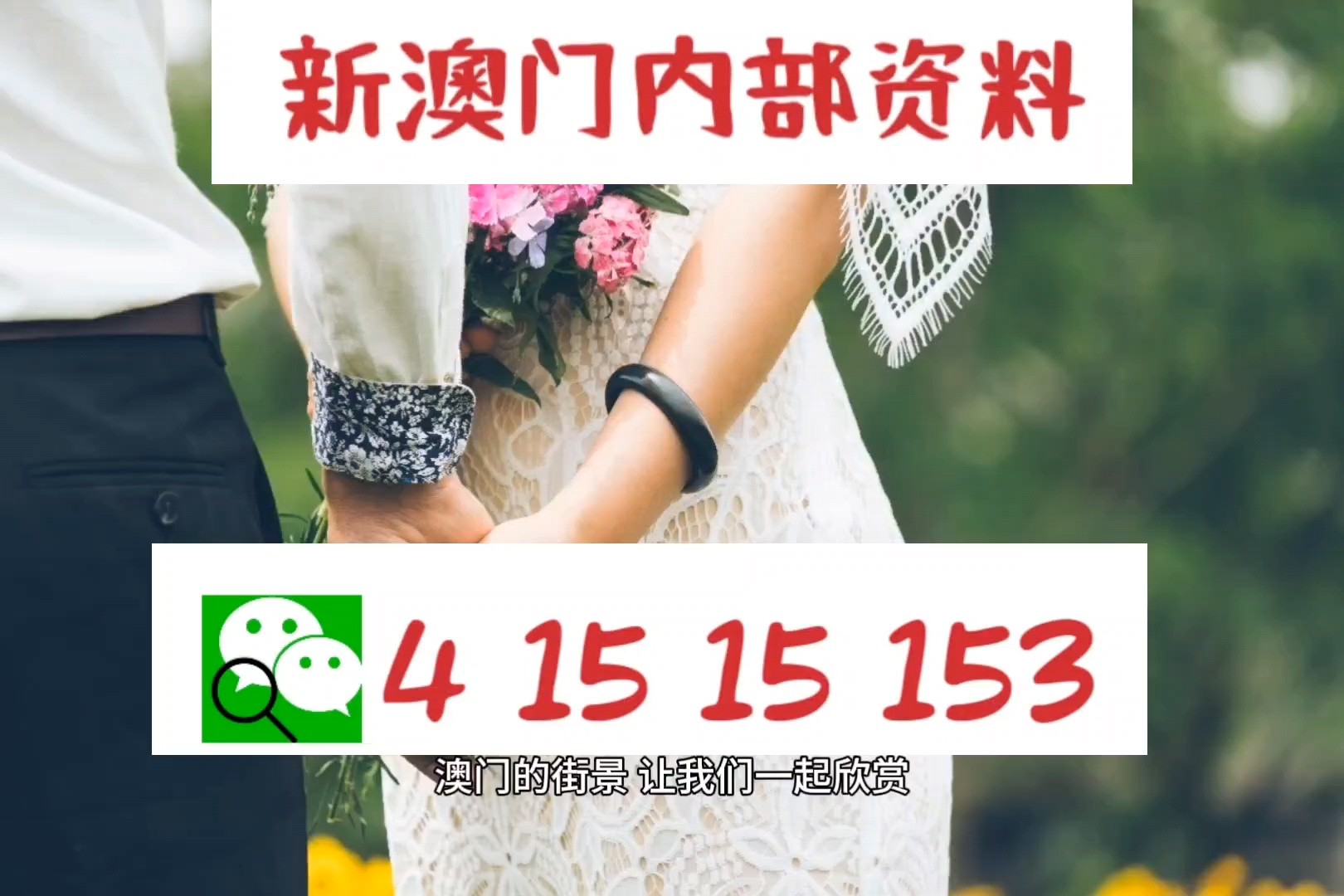 港门六会彩资料查询；精准解答，词语释义解释落实