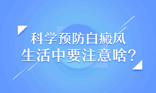 新澳门管家婆一码一肖一特一中；精准解答，全面释义解释落实