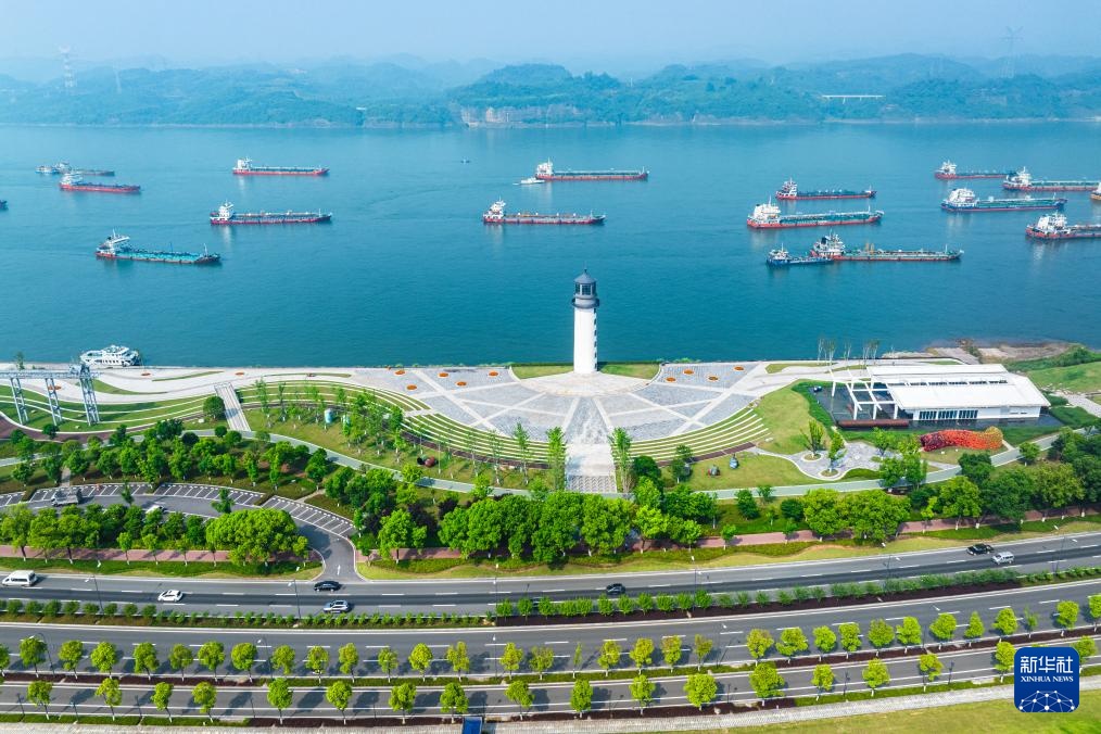 2024年新澳芳草地资料|精选资料解析大全