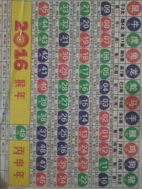 2024十二生肖49码表 精选资料解析大全
