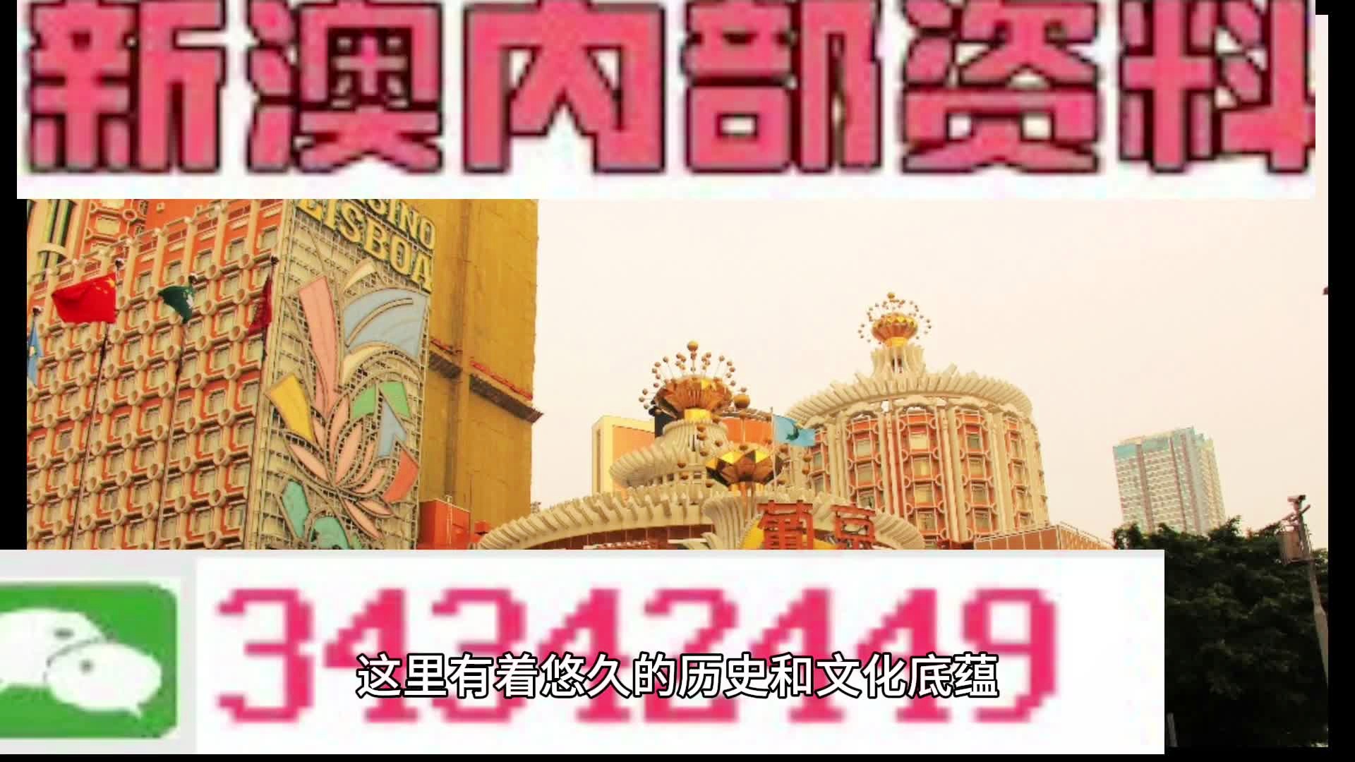 新澳门免费全年资料查询 精选资料解析大全