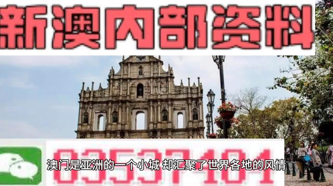 澳门今晚一肖必中特 精选资料解析大全