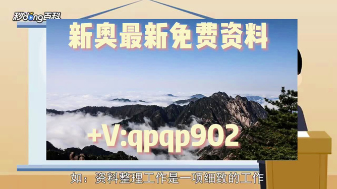 2024新奥资料免费49图库|精选资料解析大全