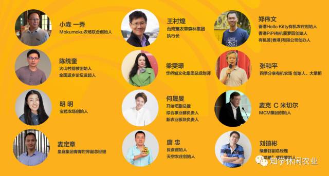 香港白小香港白小相资料|精选资料解析大全