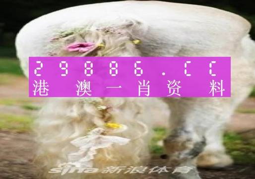 澳门一肖一码一一特一中厂i|精选资料解析大全