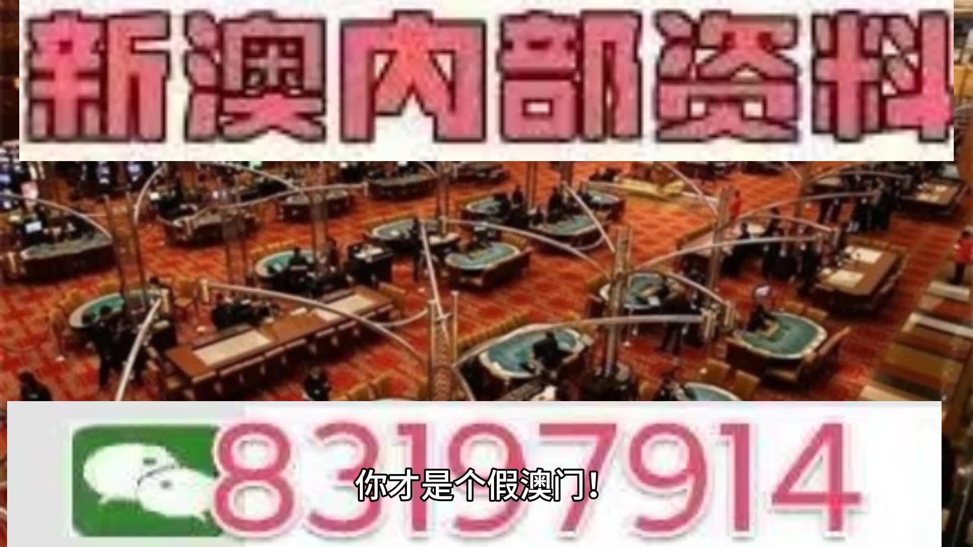 新澳门今晚开什么号码记录 精选资料解析大全