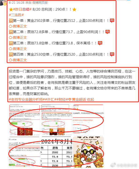 2024年管家婆的马资料 精选资料解析大全