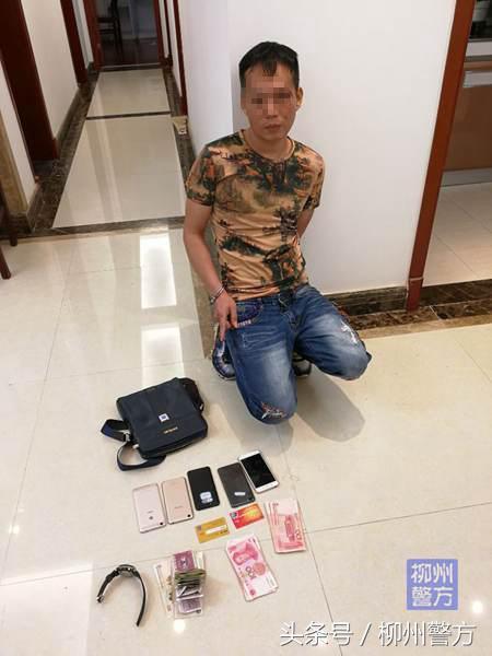 香港精准特马免费资料 精选资料解析大全