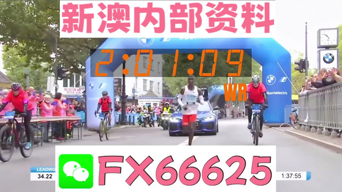 2024年新澳精准资料免费提供网站|精选资料解析大全