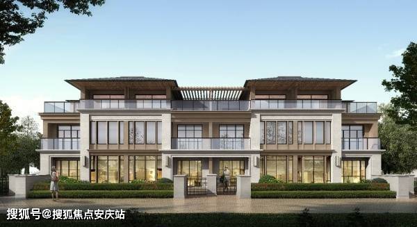 2024今晚开的四不像生肖图|精选资料解析大全