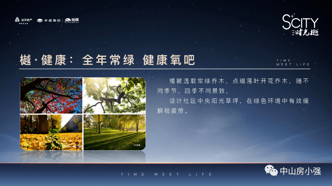 历史 第123页