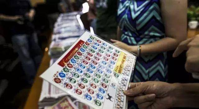 三十六码中特期期准 精选资料解析大全