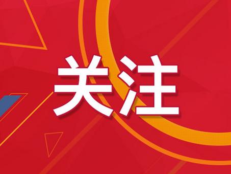 新澳门精准四肖期期准 精选资料解析大全