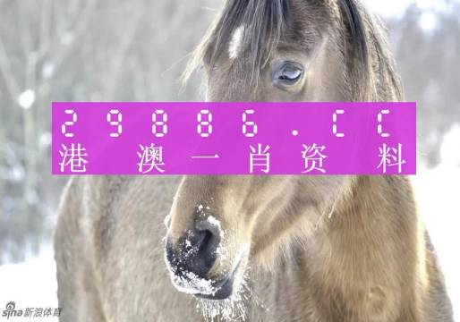 历史 第105页