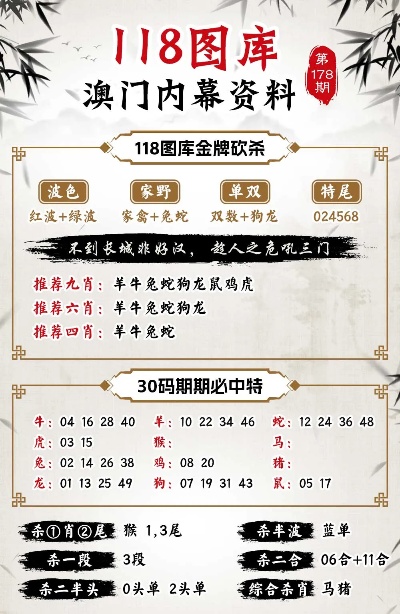 2024期澳门正版挂牌 精选资料解析大全