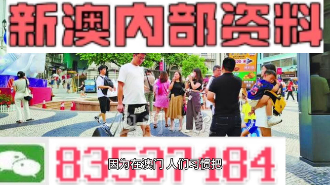 2024新澳门免费长期资料 精选资料解析大全