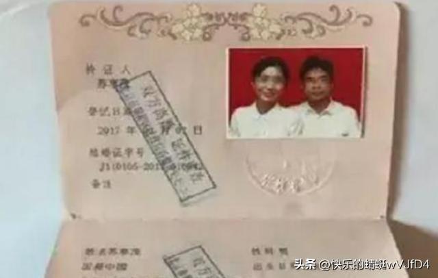 2024年天天彩资料免费大全|精选资料解析大全