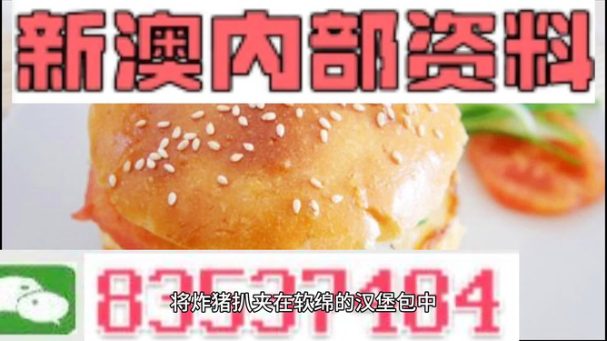 新澳2024年正版资料更新|精选资料解析大全