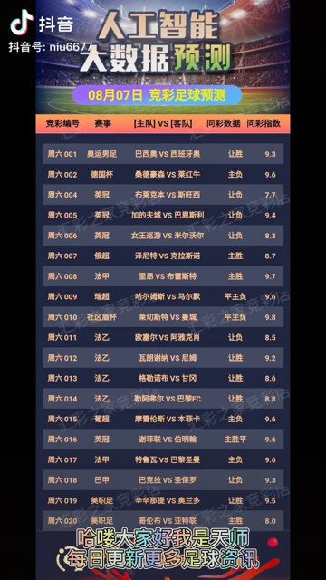 2024新奥天天免费资料 精选资料解析大全