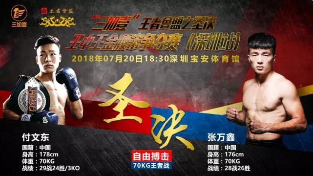 四肖王中王期期准免费资料 精选资料解析大全