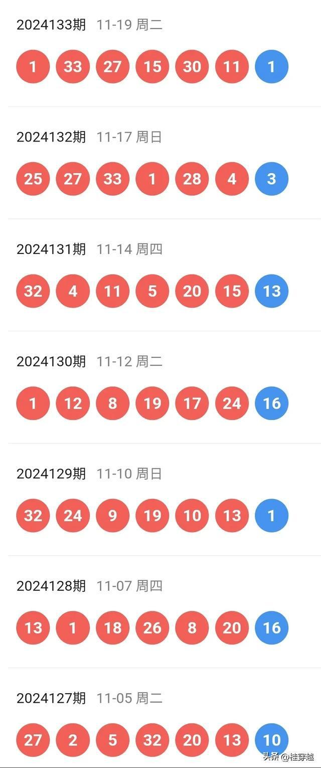2024新奥历史开奖记录28期 精选资料解析大全