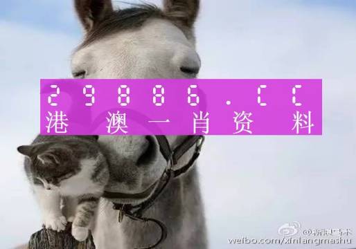 最准一肖一码一一子中特l|精选资料解析大全